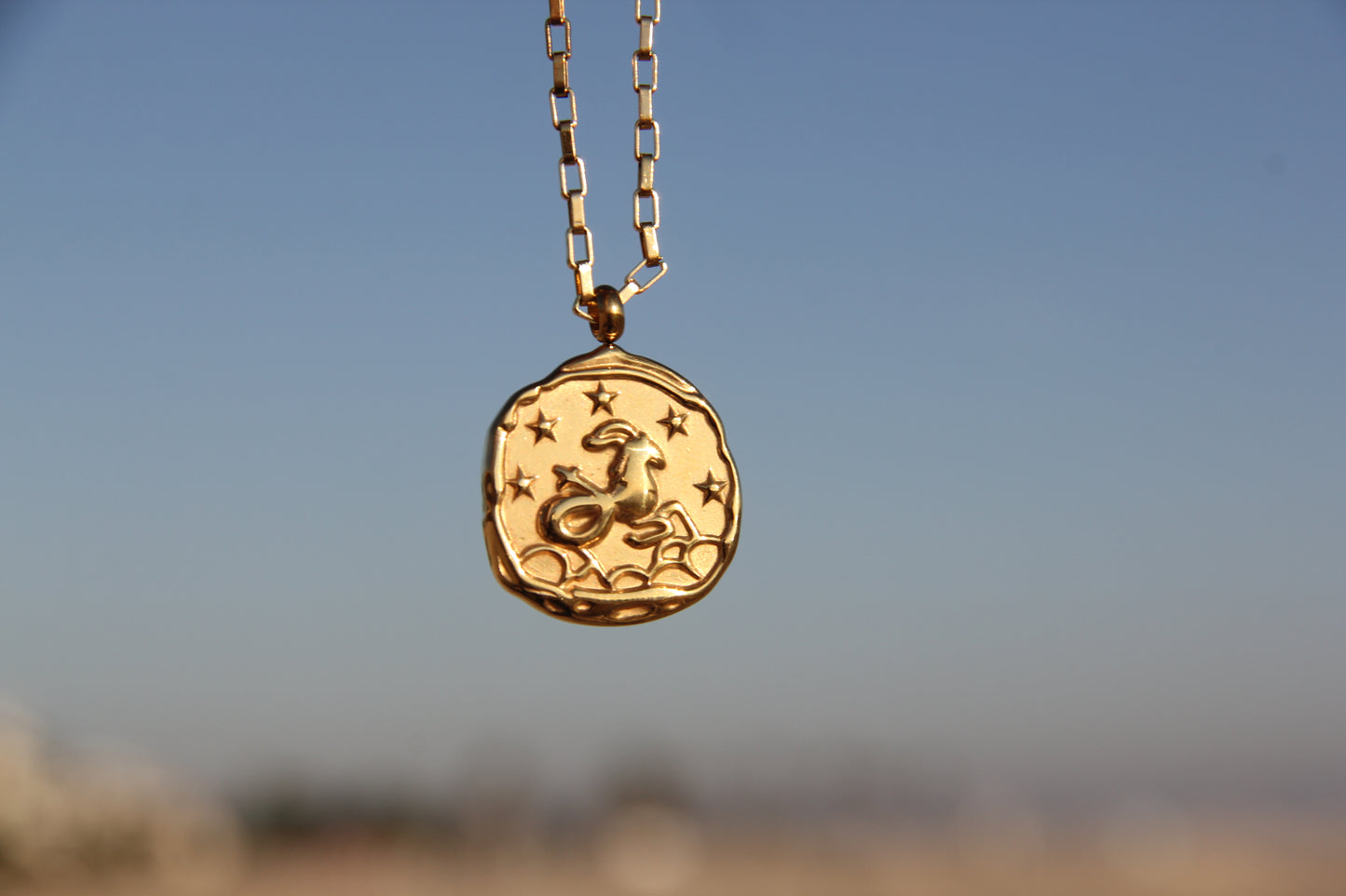 Capricorn Zodiac Necklace
